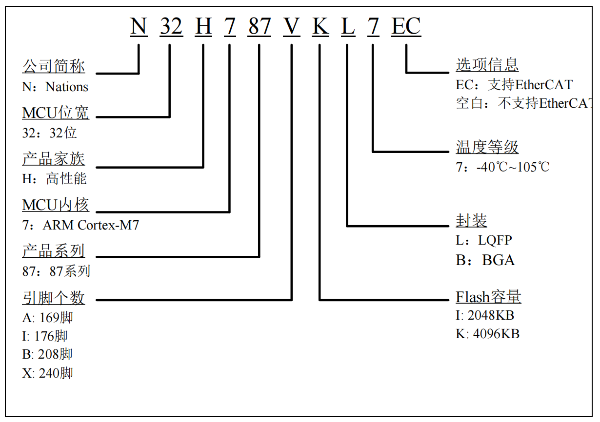 N32H787 MANE RULE